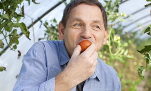 Germany, Saxony, Mature man tasting tomato at the farm