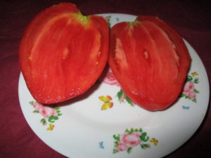 seminyte de rosii