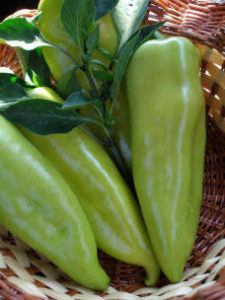 ardeii timpurii din grădina mea