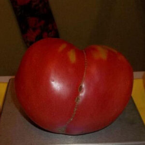 Mom's Heart, soi tradițional de roșii (heirloom) cu polenizare liberă
