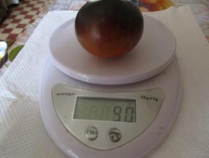 seminte de rosii
