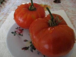 Ciliene