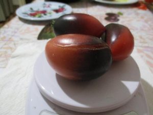 seminte de rosii