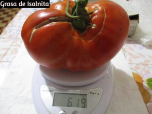grasa de isalnita