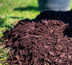 Fertilizarea naturala a solului cu compostul din gospodarie