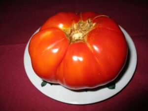 una din rosiile traditionale ale romanilor gustoasa si productiva