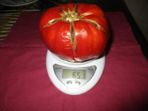 Un soi de rosii din gradina casei mele